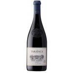 Tarapacá Merlot Gran Reserva 14% 0,75 l (holá láhev) – Zboží Dáma
