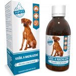 Green idea KAŠEL A NACHLAZENÍ 200 ml – Hledejceny.cz