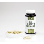 Tyroler Glückspilze Trsnatec lupenitý prášek Bio Grifola Frondosa Maitake Organic Powder kapsle 120 ks – Hledejceny.cz