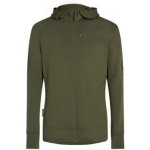 merino mikina s kapucí ICEBREAKER Mens 260 Quantum IV LS Zip Hoodie Loden – Zboží Dáma
