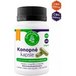 Zelená Země Konopné kapsle s obsahem CBD + CBG 60 kapslí – Hledejceny.cz