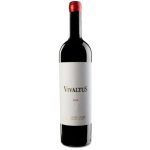 Bodega VivaltuS VivaltuS 2019 14% 0,75 l (holá láhev) – Hledejceny.cz