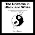 The Universe in Black and White: A Plain and Simple Illustrated Guide to Time, Space and the Meaning of Life – Hledejceny.cz