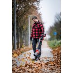 EINHELL PROFESSIONAL GP-LB 36/270 Li E BL – Hledejceny.cz