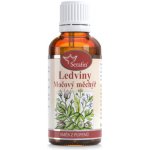 Serafin tinktura ze směsi pupenů Ledviny a močový měchýř 50 ml – Hledejceny.cz