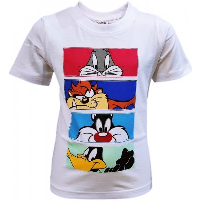 Looney Tunes Bunny & Taz & Sylvester & Daffy