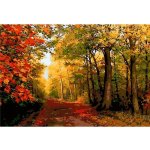 Norimpex Diamantové malování Podzim v lese 30 x 40 cm – Hledejceny.cz