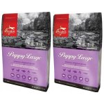 Orijen Puppy Large 2 x 11,4 kg – Hledejceny.cz