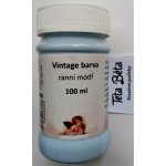 Daily Art Křídová barva Ranní modř Vintage 100 ml – Zboží Dáma