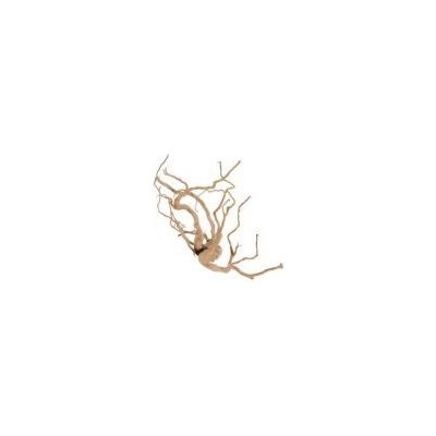 Akvarijní dekorace pavoučí kořen +60cm Zolux