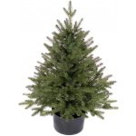 zanapo.cz Umělý vánoční stromeček Smrk Reyma 100% v květináči 80 cm – Zboží Dáma