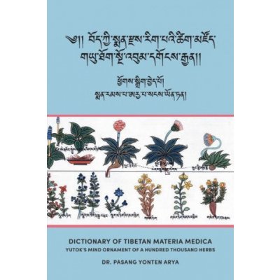 Dictionary of Tibetan Materia Medica Bod kyi sman rdzas rig pai tshig mdzod: Yutoks Mind Ornament of a Hundred Thousand Herbs G.yu thog sngo bum Arya Pasang YontenPaperback – Zboží Mobilmania