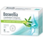 Favea Boswellia s chondroitinem a kolagenem 30 tablet – Sleviste.cz