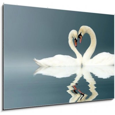 Obraz 1D - 100 x 70 cm - Love Swans swan heart Amor – Zbozi.Blesk.cz