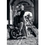 Dino Zamilovaní 500 dílků – Hledejceny.cz