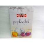 KOH-I-NOOR Blok 9920 A4 MIX PASTEL 220g 20 listů – Hledejceny.cz