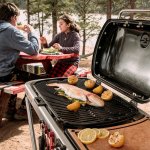 Weber Traveler – Zboží Mobilmania