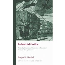 Industrial Gothic: Workers, Exploitation and Urbanization in Transatlantic Nineteenth-Century Literature Marshall Bridget M.Pevná vazba