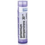 GELSEMIUM SEMPERVIRENS POR 30CH GRA 1X4G – Hledejceny.cz