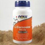 Now Foods Foods L-Karnosin 500 mg 50 kapslí – Hledejceny.cz