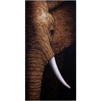 Obraz Dalmart slon 60x120cm