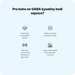 Vilgain GABA 90 kapslí – Sleviste.cz