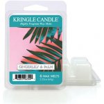 Kringle Candle Gingerlily & Palm Vonný Vosk 64 g – Hledejceny.cz
