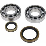ALL BALLS ložiska klikové hřídele s těsněními BETA EVO 4T 250 09-18, EVO 4T 300 09-23, EVO 4T 300 FACTORY 22-23, KOYO | Zboží Auto