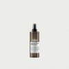 Vlasová regenerace L'Oréal Absolut Repair Molecular Pre-Treatment Concentrat 190 ml