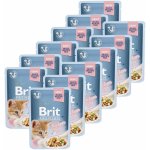 Brit Premium Chicken Fillets Kitten 12 x 85 g – Zboží Mobilmania
