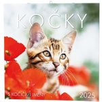 Kočky nástěnný 2025 – Zbozi.Blesk.cz