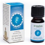 Aromafume 5. čakra Vishuddha směs 100% esenciálních olejů 10 ml – Hledejceny.cz