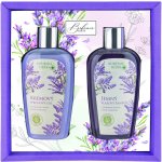 Bohemia Herbs Lavender sprchový gel 250 ml + vlasový šamon 250 ml dárková sada – Hledejceny.cz