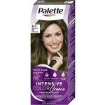 Palette Intensive Color Creme barva na vlasy ledový světle hnědý 5-1 – Zboží Mobilmania