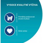 Purina ONE Senior 7+ minifiletky s hovězím a mrkví ve šťávě 4 x 85 g – Hledejceny.cz