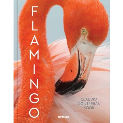 Flamingo – Hledejceny.cz