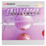 Butterfly Challenger Attack – Sleviste.cz