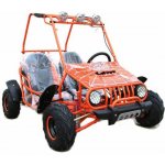 Sunway ATV Buggy 125cc – Sleviste.cz