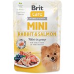 Brit Care Sterilised Mini Salmon & Herring Fillets in Gravy 85 g – Zboží Mobilmania