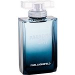 Karl Lagerfeld Paradise Bay toaletní voda pánská 100 ml – Hledejceny.cz