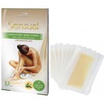 Joanna Sensual náplasti depilační na tělo Aloe vera 12 ks – Zboží Dáma Joanna Sensual náplasti depilační na tělo Aloe vera 12 ks – Zboží Dáma