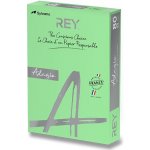 Rey Barevný Adagio listově zelená A4 80 g 500 listů – Sleviste.cz