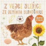 Z vejce slepice, ze semínka slunečnice - Životní cyklus – Hledejceny.cz