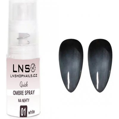 LNS OMBRE prášek ve spreji WHITE COLOR 5 g – Zboží Dáma