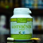 Serafin Kotvičník přírodní 90 kapslí – Hledejceny.cz