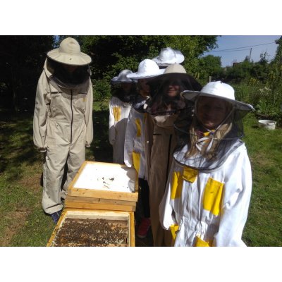 Včely zblízka – zážitkový kurz včelaření, 2 osoby, 2 hodiny – Hledejceny.cz