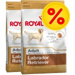 Royal Canin Sterilised Labrador Retriever Adult 2 x 12 kg – Hledejceny.cz