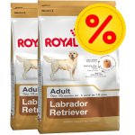 Royal Canin labrador retriever Puppy 24 kg – Sleviste.cz