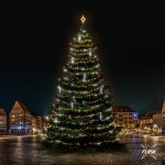 DECOLED LED světelná sada na vánoční stromy vysoké 21-23 m teplá bílá s Flash s padajícím sněhem – Hledejceny.cz