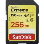 SanDisk SDXC UHS-I U3 256 GB SDSDXV5-256G-GNCIN – Hledejceny.cz